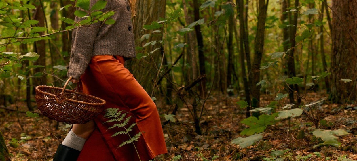 What Is Chaga? The Mushroom, the Tradition & What We Know