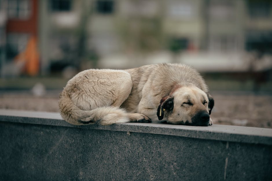 Sleep Better, Feel Better: Tips for Improving Your Sleep Quality - Ancient Therapy