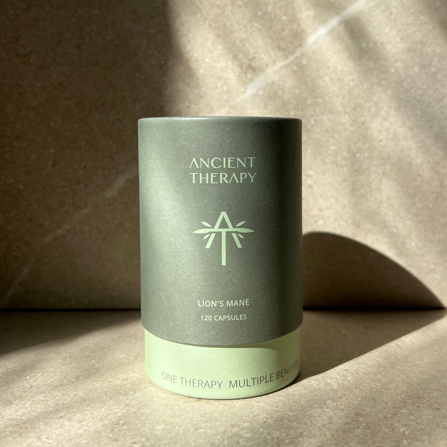 Lion’s Mane 120 Capsules canister in natural light – Ancient Therapy