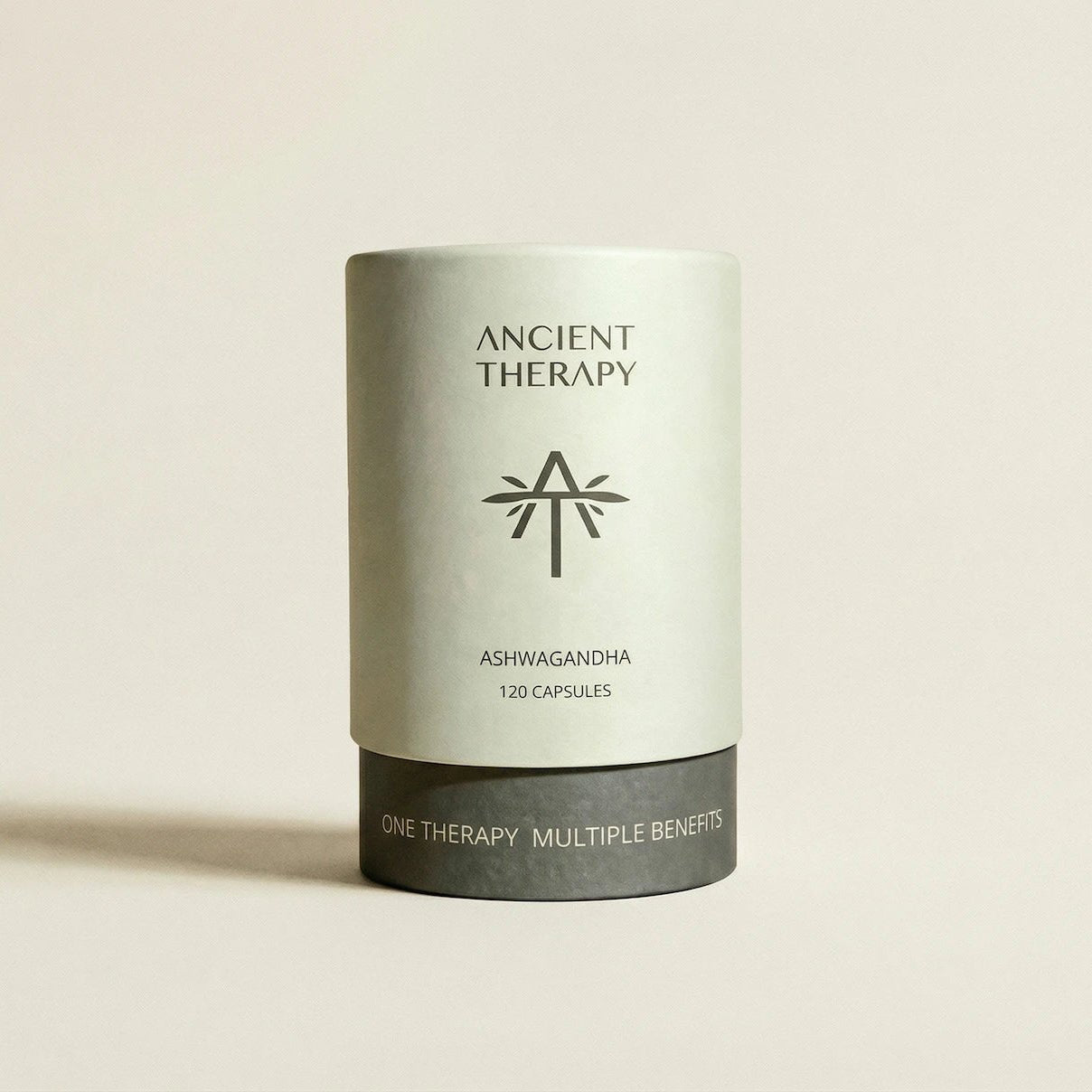 Ashwagandha 120 Capsules canister in natural light – Ancient Therapy, organic herbal supplement