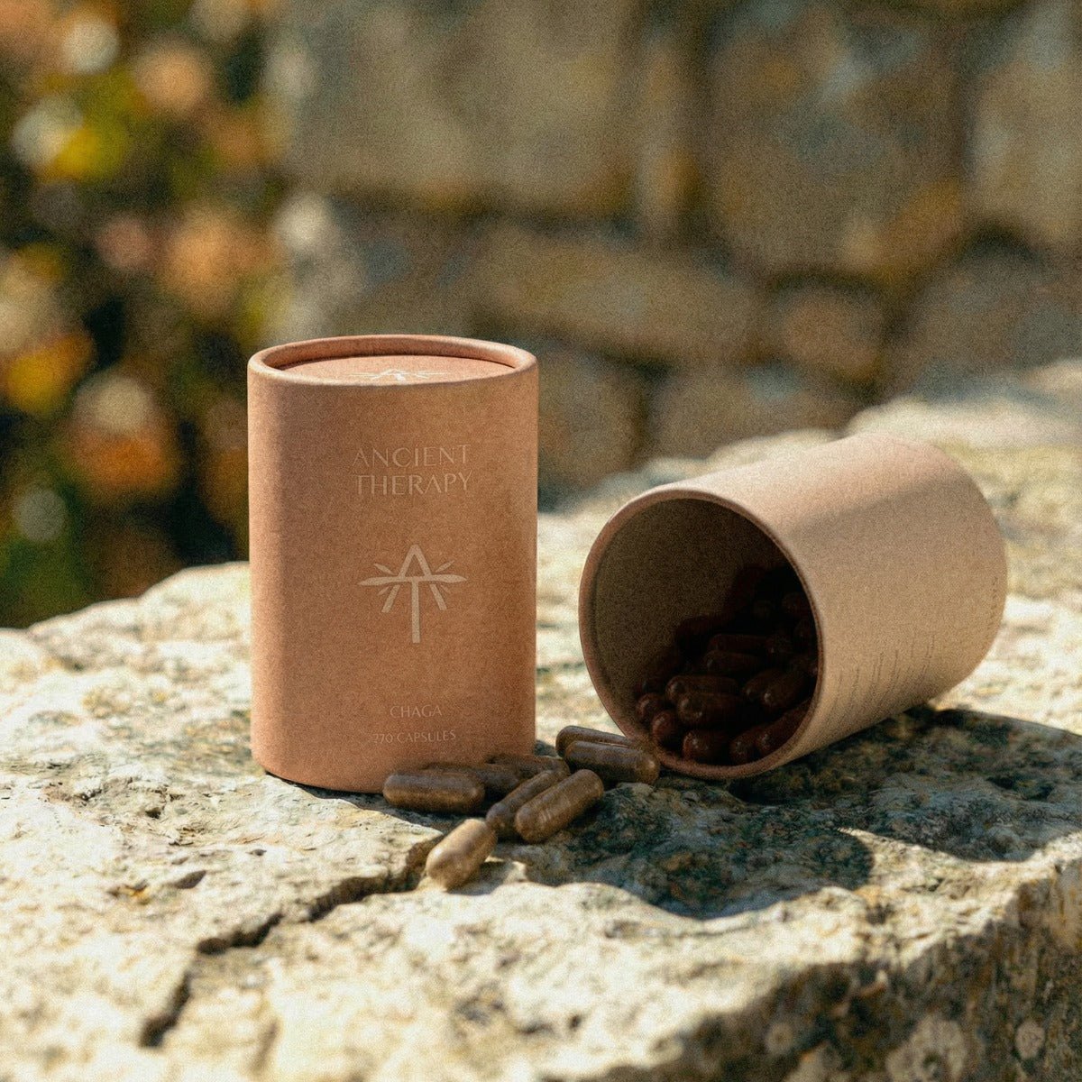 Chaga 120 Capsules outside stone wall