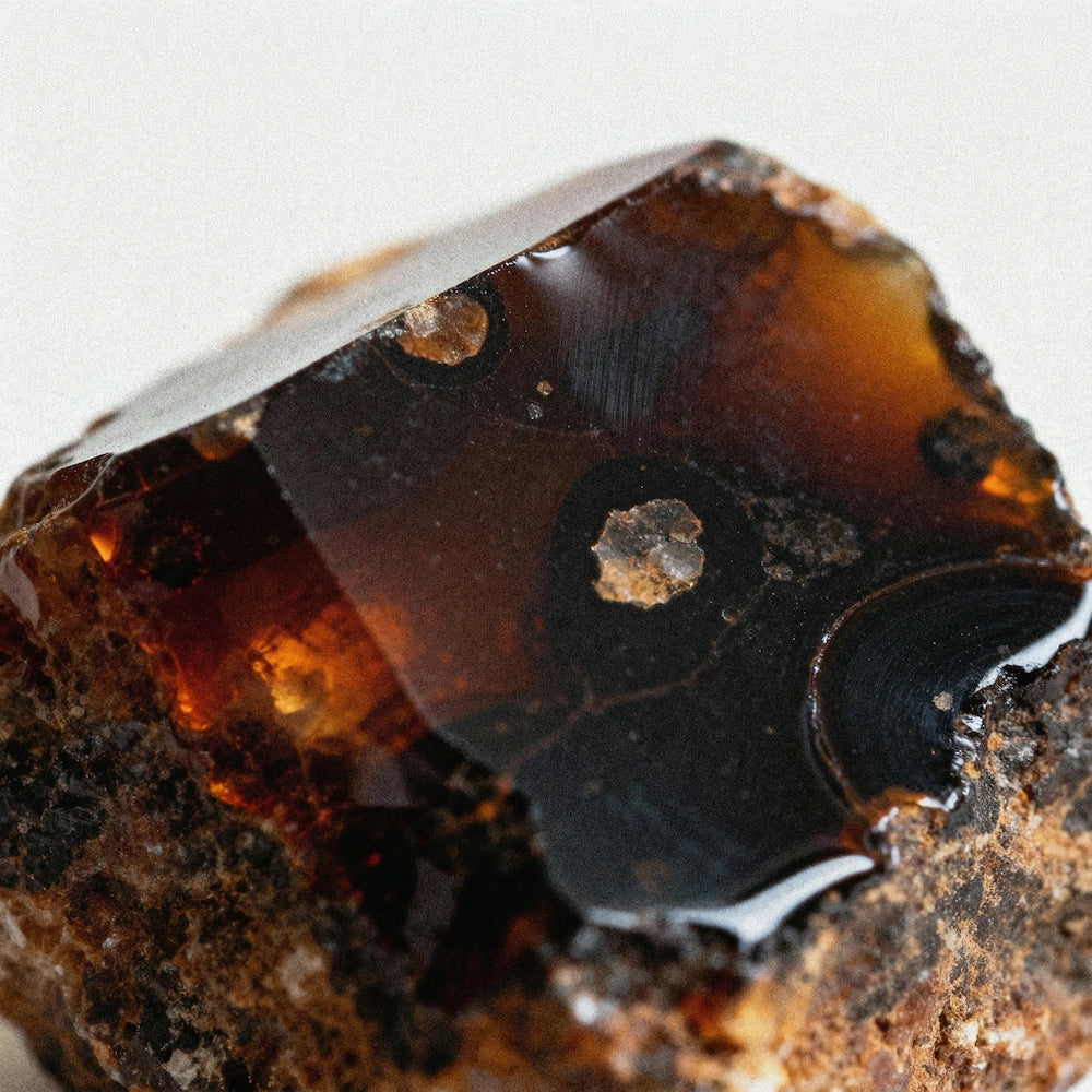 Close-up of raw shilajit resin with glossy surface