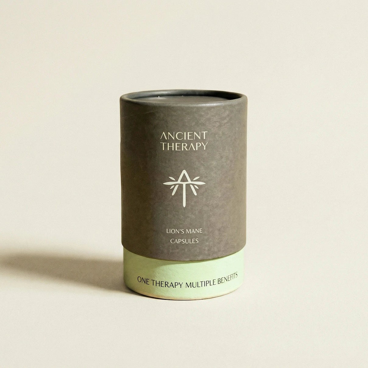 Lion’s Mane 120 Capsules canister in natural light – Ancient Therapy, functional mushroom supplement