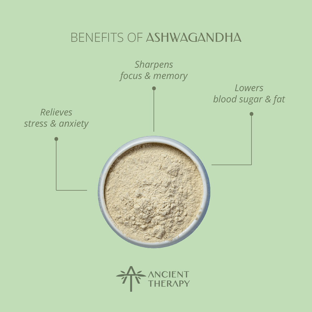 Ancient Therapy Ashwagandha benefits