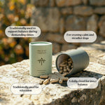 Ancient Therapy Ashwagandha-kapslar på en stenmur i naturligt ljus