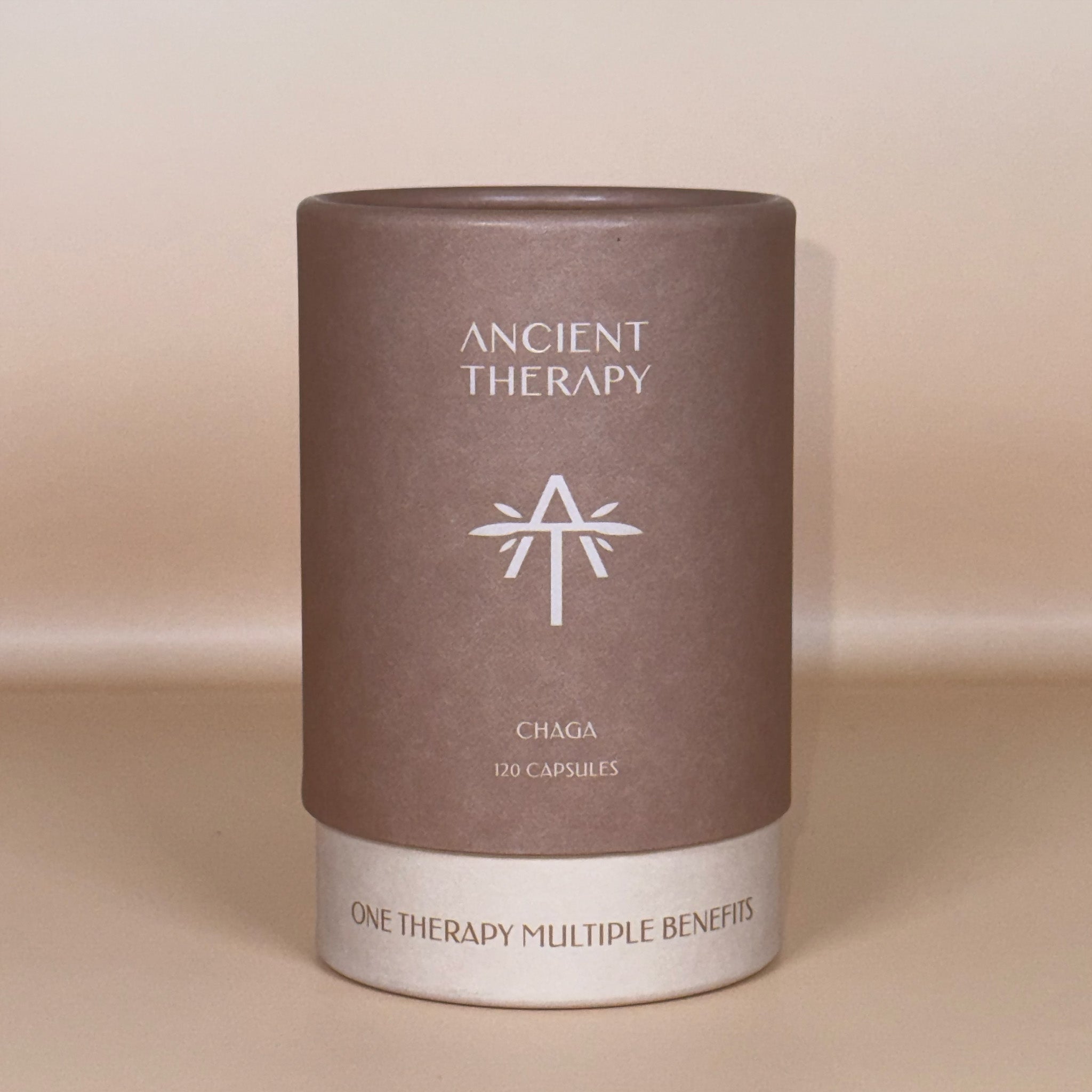 Chaga Premium 120 Capsules on beige background
