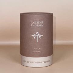 Chaga Premium 120 Capsules on beige background