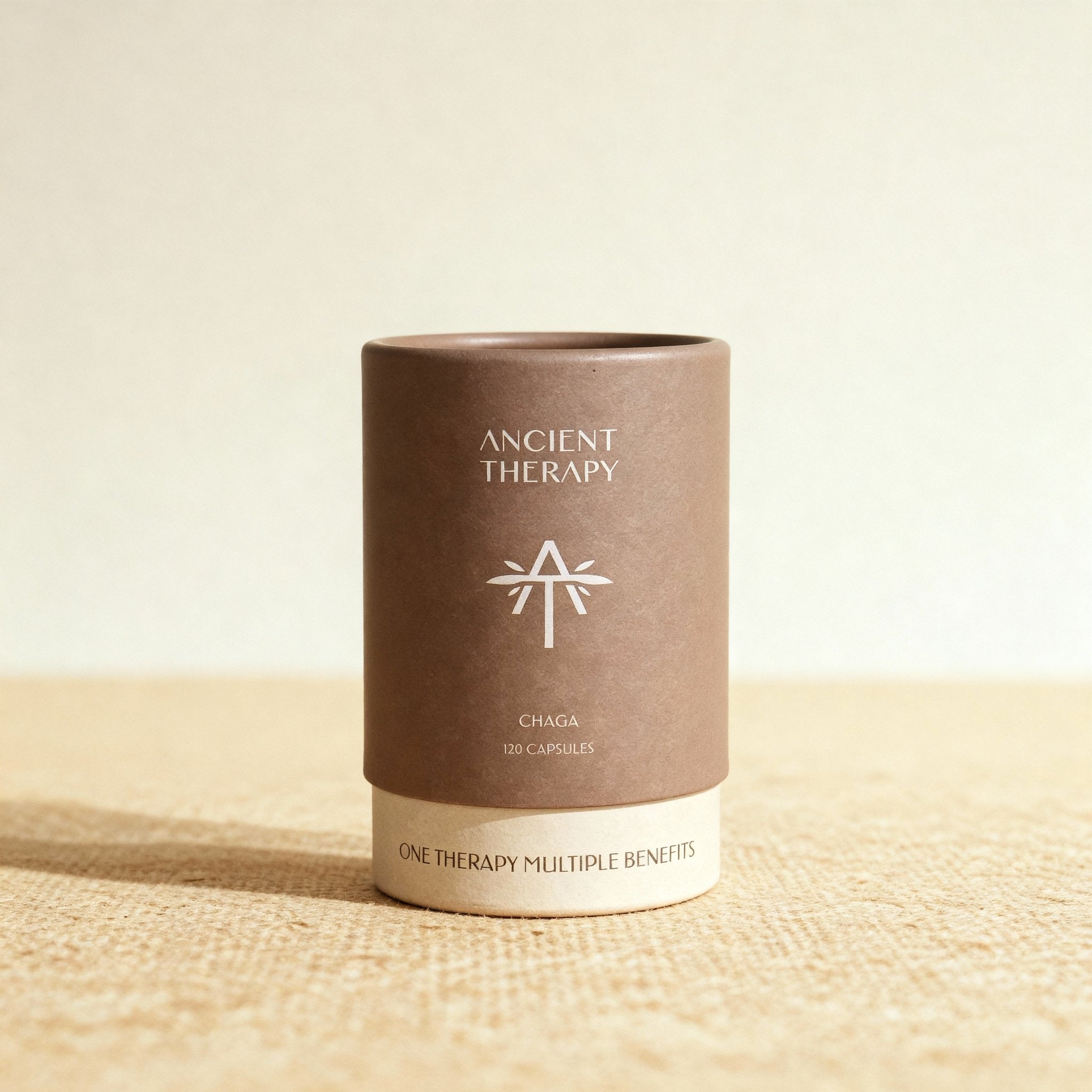 Chaga 120 Capsules canister in natural light – Ancient Therapy, organic functional mushroom supplement