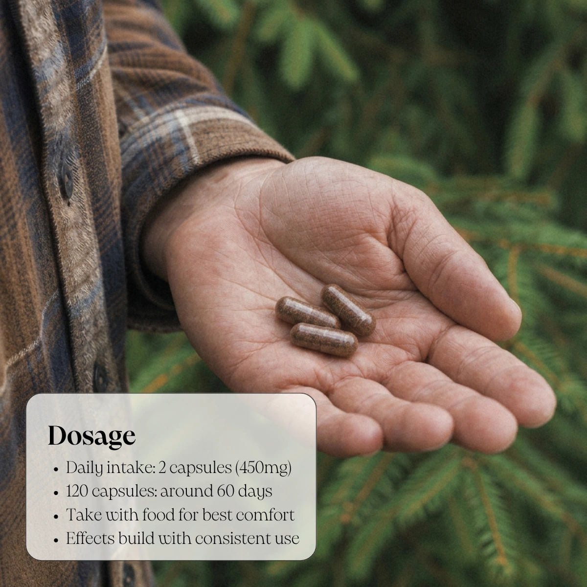 Ancient Therapy Chaga-kapslar i en öppen hand med doseringsinformation