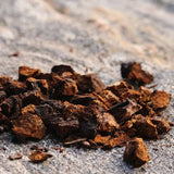 Dried raw chaga on mushroom